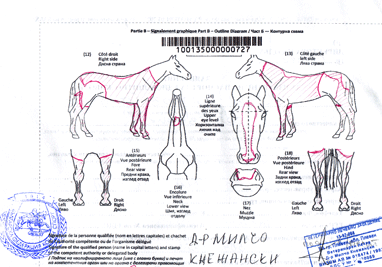 Aibraham