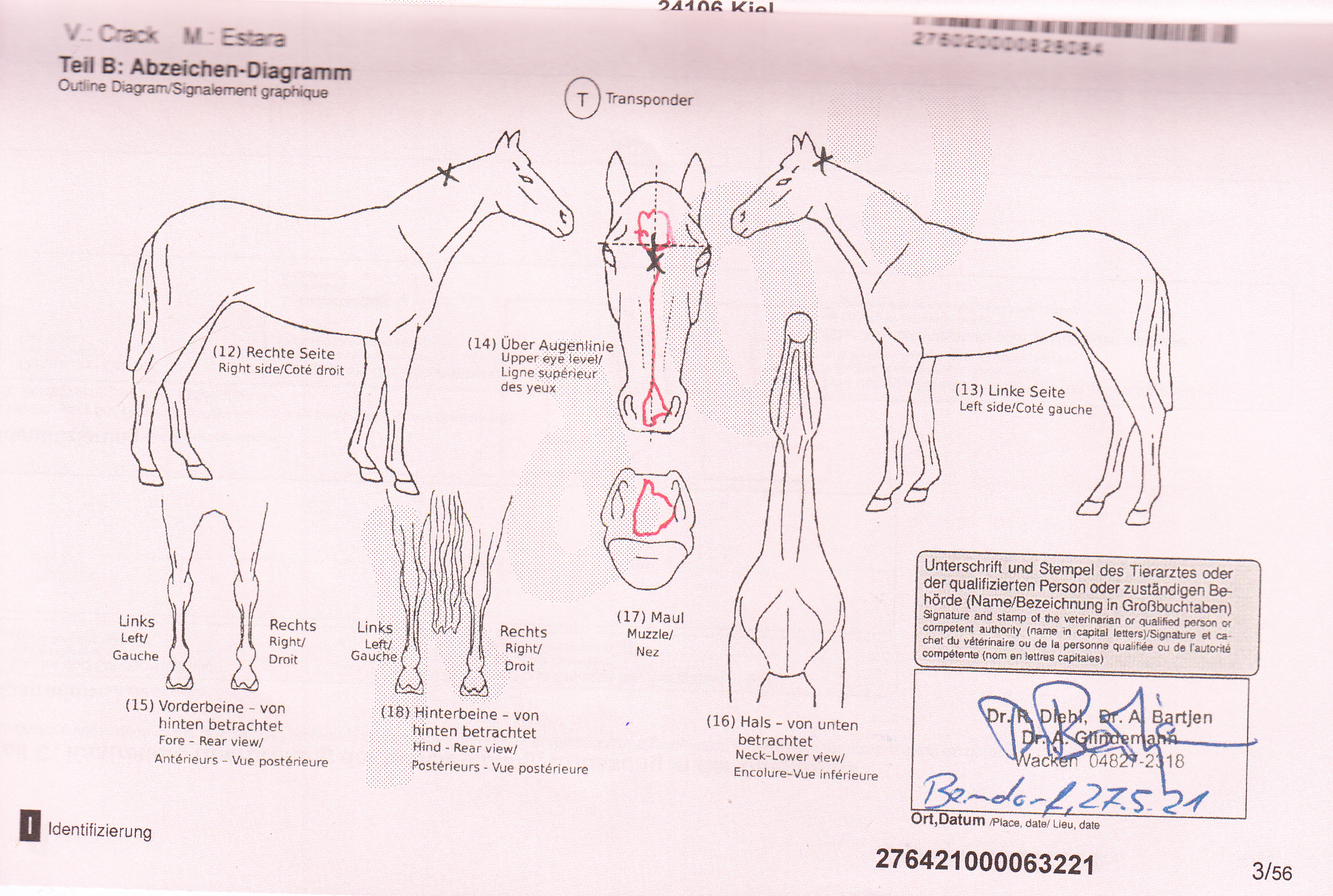 Celestra