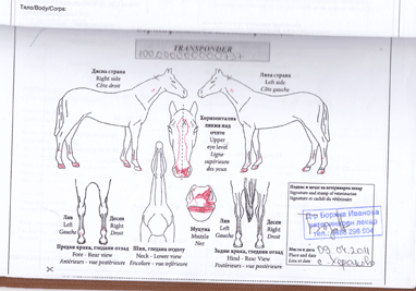 Greminia