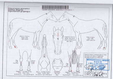 Red-hot-chili-pepers