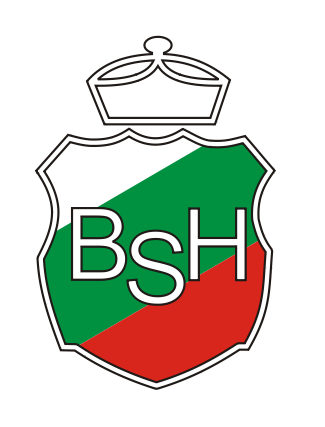 Bsk_logo
