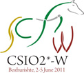 Logo_csio-w_small