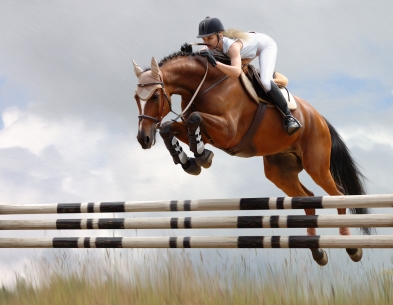 Show-jumping